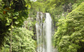 Des cascades d'eau pure