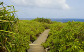 Le chemin vers l'ocan