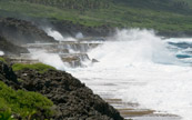 Niue se prète peu aux activités aquatiques